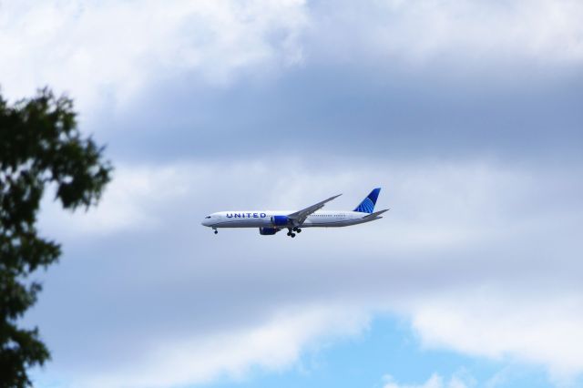 Boeing 737-900 (N75428)