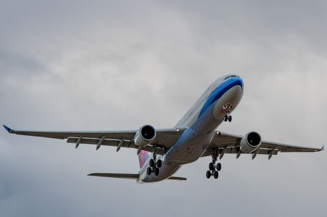 Airbus A330-300 (B-18359) - Photographed on short finals for Runway 02 at about 300ft AGL, about to cross Ryans Road and the DVOR. The aircraft was holding about 10 drift to the left due to the westerly crosswind. The pilots didnt yaw right before touchdown, so the gear got a smokey hammering!