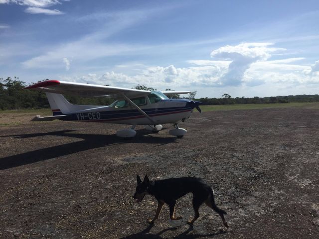 Cessna Skyhawk (VH-CEO) - Landed at Wallis Island greeted by this guy.