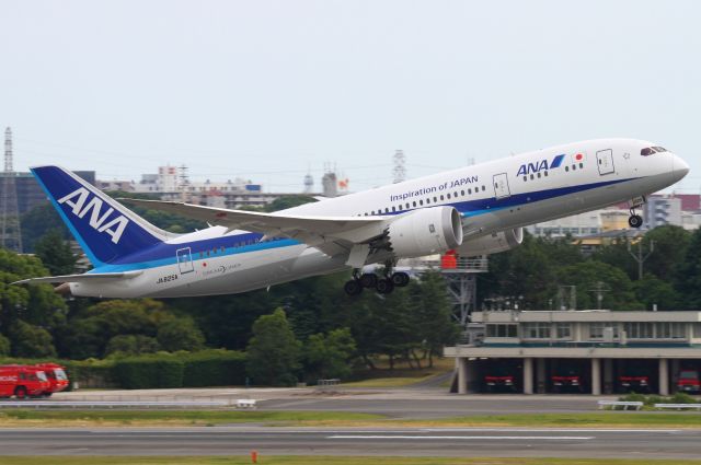 Boeing 787-8 (JA825A)