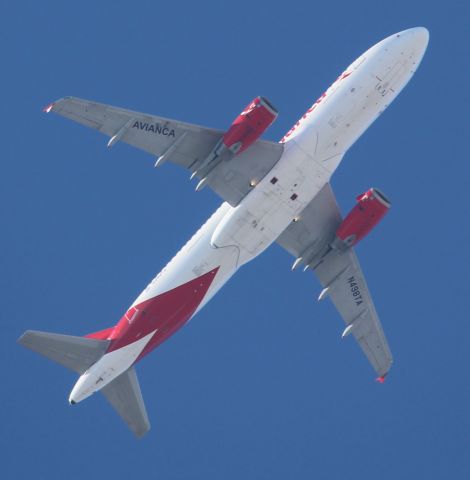 Airbus A320 (N498TA) - From my front lawn in Leaside, ON