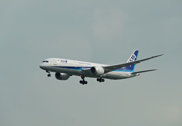 Boeing 787-8 (JA887A) - Arrival into WSSS