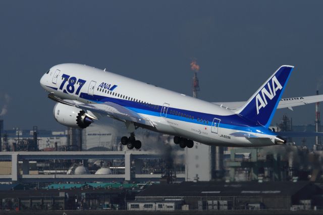 Boeing 787-8 (JA809A)