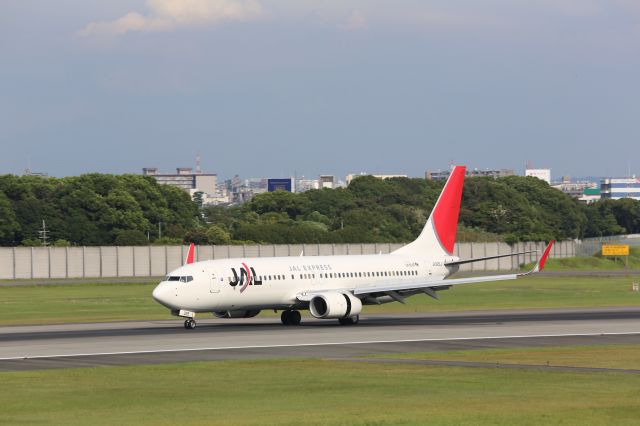 Boeing 737-800 (JA325J)