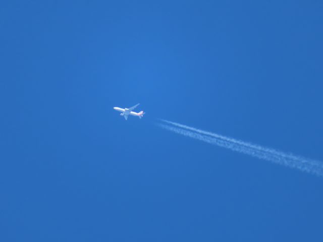 Boeing 777-200 (N780AN) - AA Boeing 777-200ER en route to PHOG at 38,000 ft