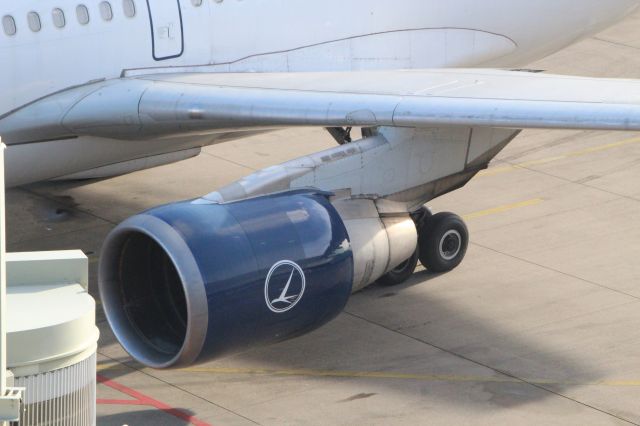 Airbus A310 (YR-LCB)
