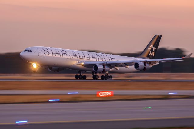 Airbus A340-300 (D-AIGP)