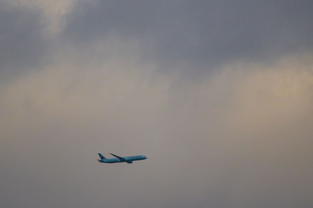 Boeing 787-8 (C-FRSA) - Coming home from Frankfurt.