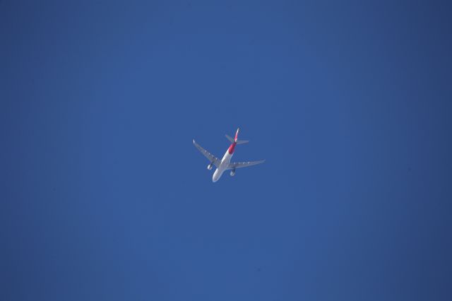Airbus A330-200 (EC-MJT)