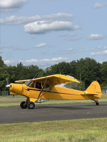 Piper L-21 Super Cub (N2582S)