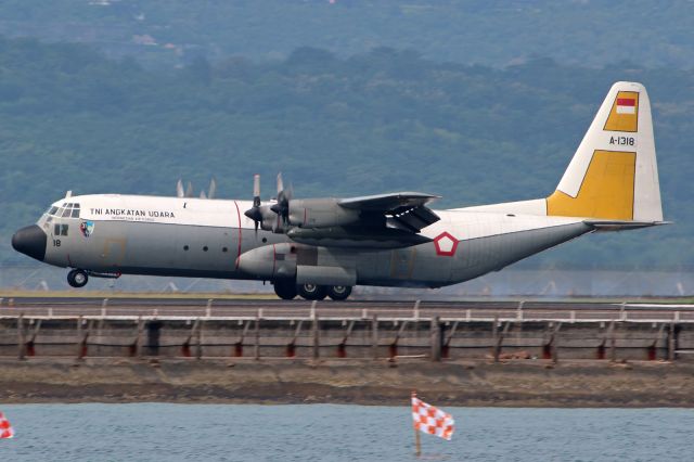 Lockheed C-130 Hercules (A1318)