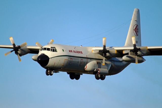 Lockheed C-130 Hercules (7T-WHL)