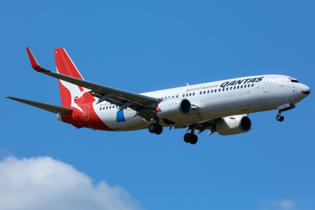 Boeing 737-800 (VH-VZO) - Movember and Prostate Council of Australia logo jet.