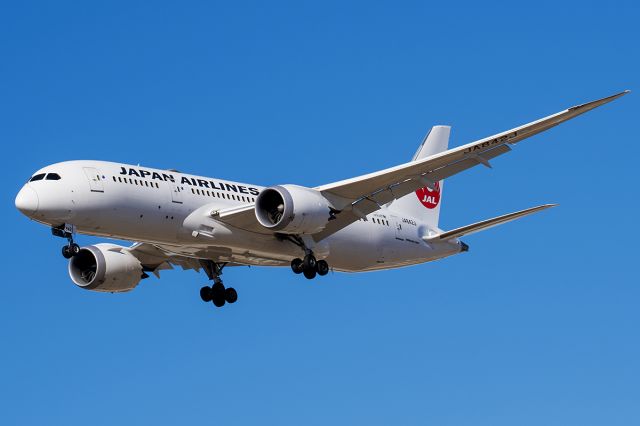 Boeing 787-8 (JA842J) - 12/25/2020