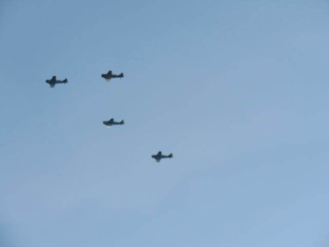 North American T-6 Texan (N3171P)
