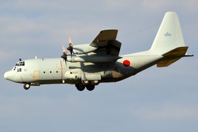 Lockheed C-130 Hercules (N9051)