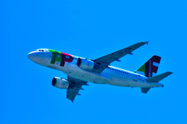 Airbus A319 (CS-TTN) - I just wished I could complete the collection... Too late now...
