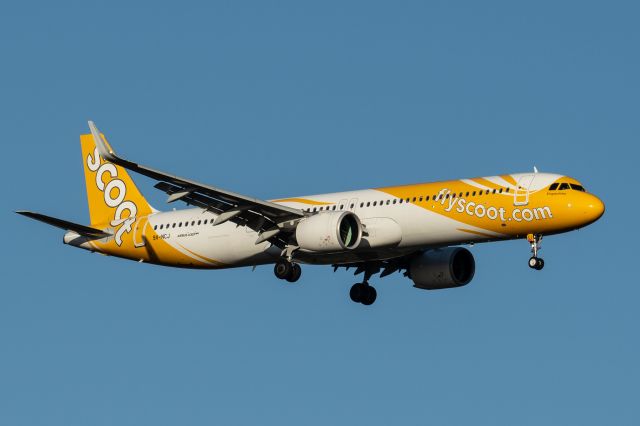 Airbus A321neo (9V-NCJ) - A321-271NX cn 10638. Scoot 9V-NCJ, name Singapoliday final rwy 21 YPPH 14 January 2023