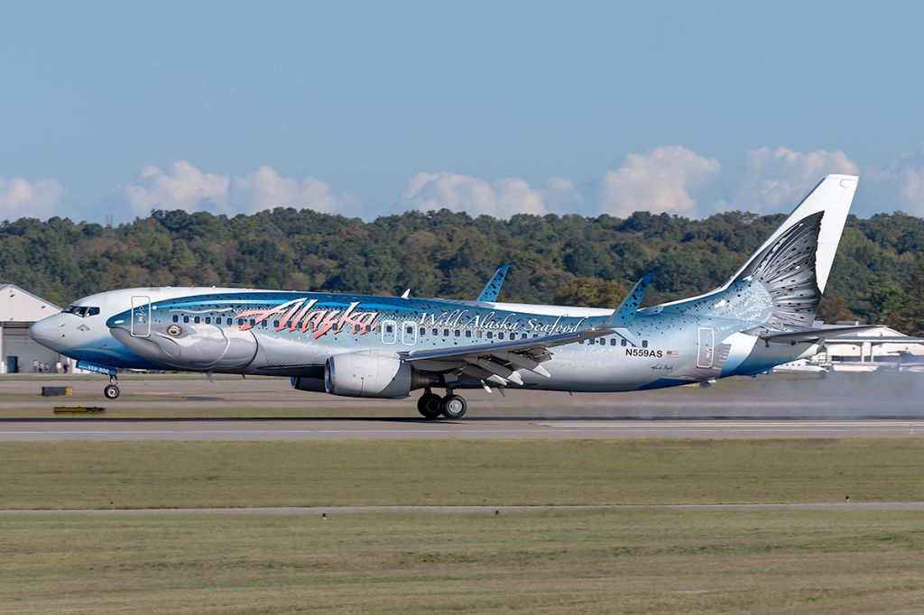 Boeing 737-800 (N559AS) - Salmon-Thirty-Salmon arriving in Nashville