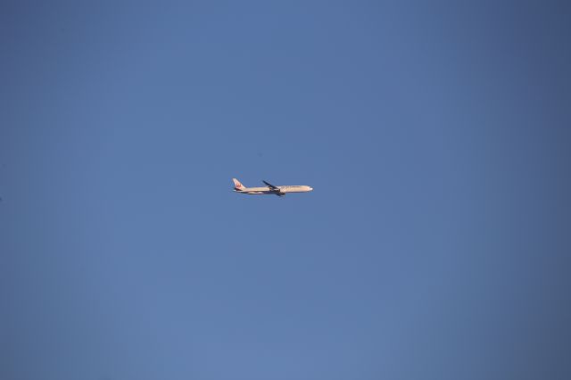 BOEING 777-300ER (JA742J)