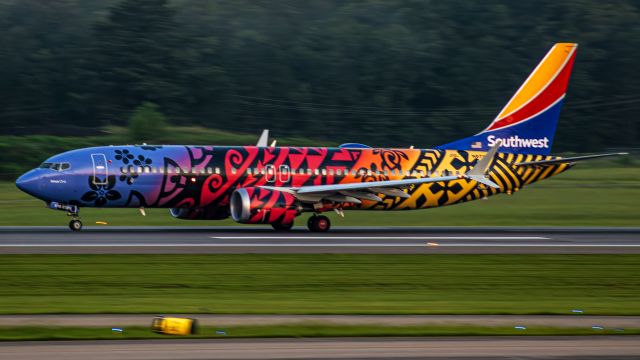 Boeing 737 MAX 8 (N8710M) - While this photo is not up to my personal standards, I'm grateful I was able to finally see it. Hopefully she'll return :)