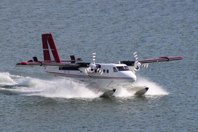 De Havilland Canada Twin Otter (C-GNPS) - LANDING EAST BAY