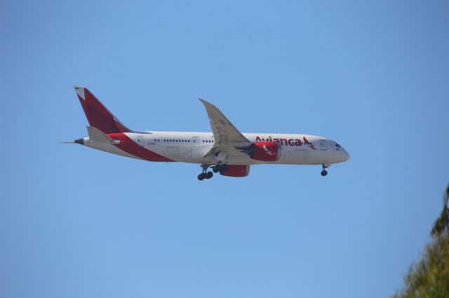 Boeing 787-8 (N791AV)