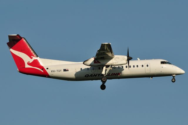 de Havilland Dash 8-300 (VH-TQY)