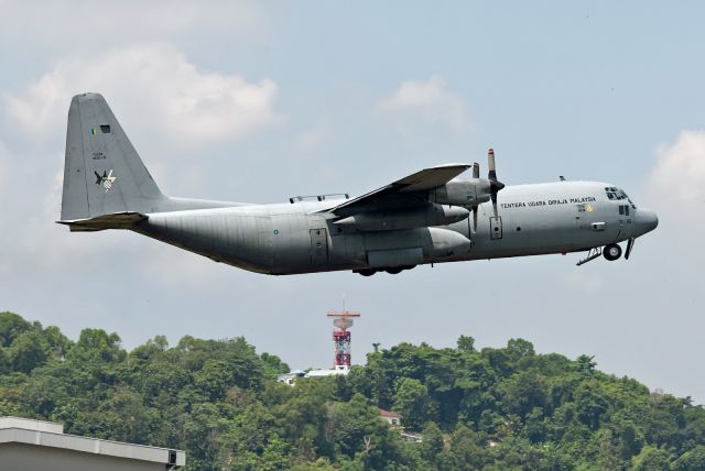 Lockheed C-130 Hercules (M3015)