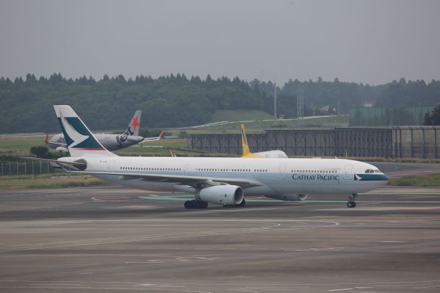 Airbus A330-300 (B-LBK)