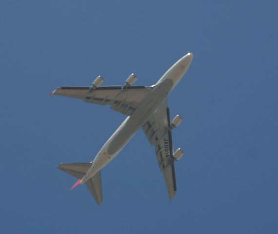 Boeing 747-400 (JA8914) - Japan Airlines 747-400 arriving to KSFO on 9-7-2008 over Baylands Park in Palo Alto,CA USA at 10:42am.