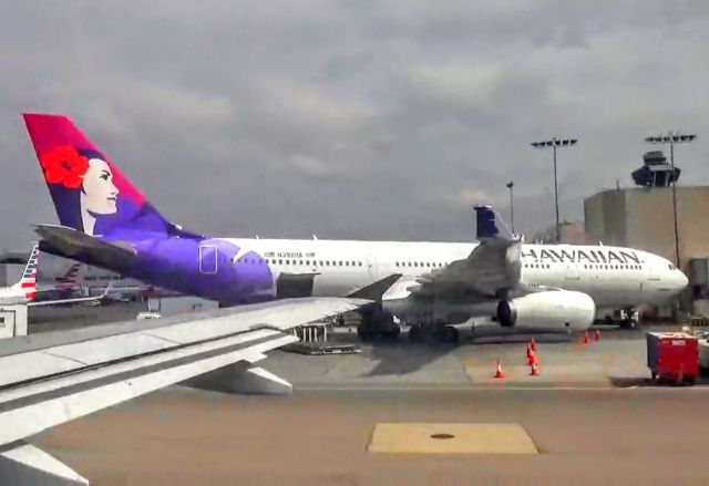 Airbus A330-200 (N392HA) - What a beautiful livery. That’s appropriate, the flowers represent the colors of Valatines day.