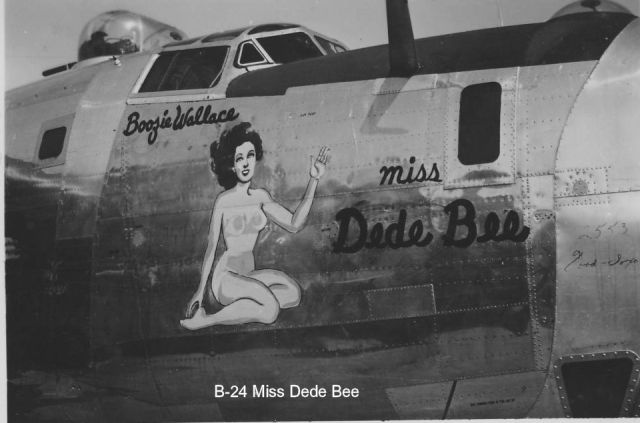 Consolidated B-24 Liberator (B24) - 318th Bomb Group