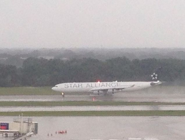 Airbus A340-300 — - Lufthansa A340-300, DLH 482/283, landing in Tampa Intl Airport, operated by Lufthansa Cityline.