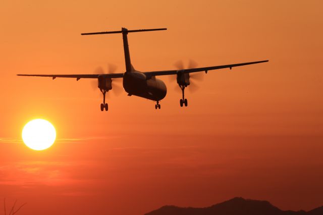 de Havilland Dash 8-400 (JA856A) - April 16th 2022:CTS-HKD.