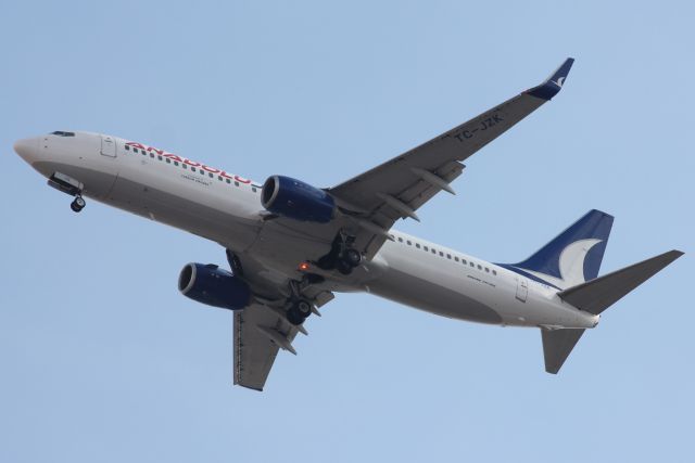 Boeing 737-800 (TC-JZK)