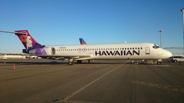 N485HA — - I caught this Hawaiian bird just after she made the flight from the islands to the mainland.  She was flown back to the mainland for her C-check, which required special fuel tanks installed in the passenger cabin to make the trip.