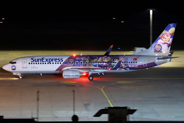 Boeing 737-800 (TC-SPE)