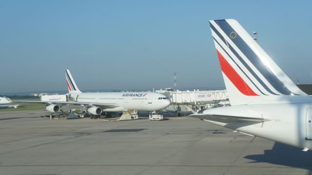 Airbus A340-300 (F-GLZH)