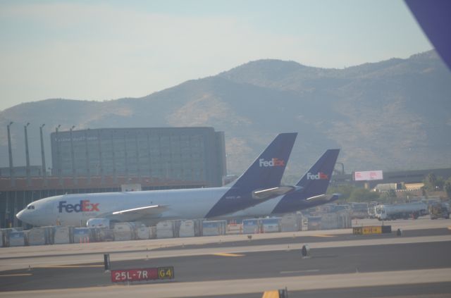 Airbus A310 (N455FE) - FedEx sitting at cargo ramp with its fellow Airbus 310