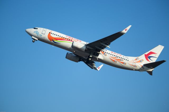 Boeing 737-800 (B-1791)