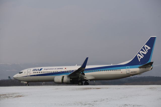 Boeing 737-800 (JA63AN) - 02 January 2016:ITM-HKD.