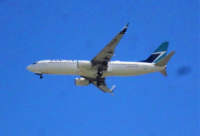 Boeing 737-800 (C-FUJR) - WJA2512 arriving from YYZ