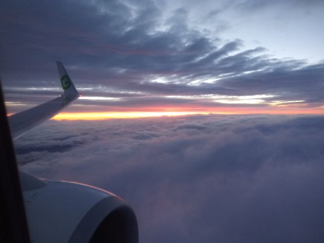 Boeing 737-800 (PH-HXO) - Early flight from Amsterdam (AMS) to Porto (OPO) on 08 okt 24  Transavia B737-8K2 cn62577