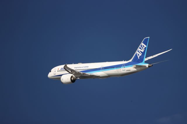 Boeing 787-8 (JA804A) - December 02,2024:HKD-HND.