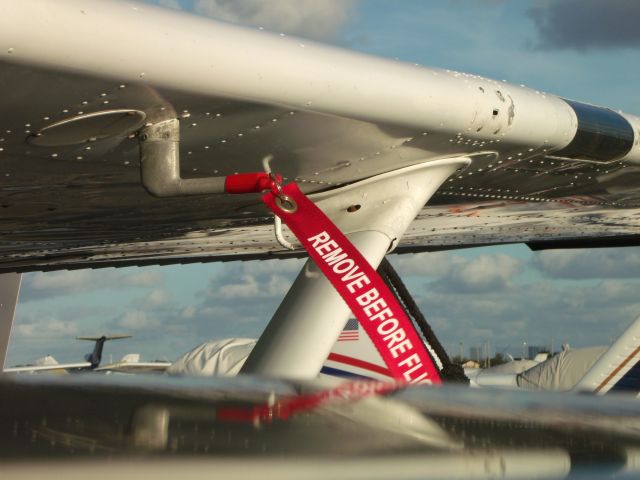 Cessna Skyhawk (N96100) - Pilots always find beauty in so many things--especially at an airport! [Image © Learn To Pilot .COM™]