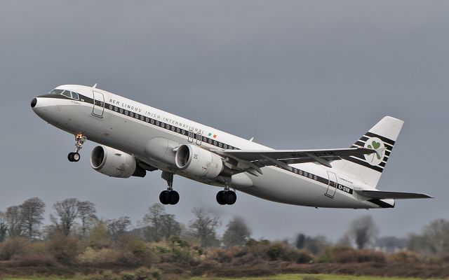 Airbus A320 (EI-DVM) - aer lingus retro a320-214 ei-dvm dep shannon 16/3/19.