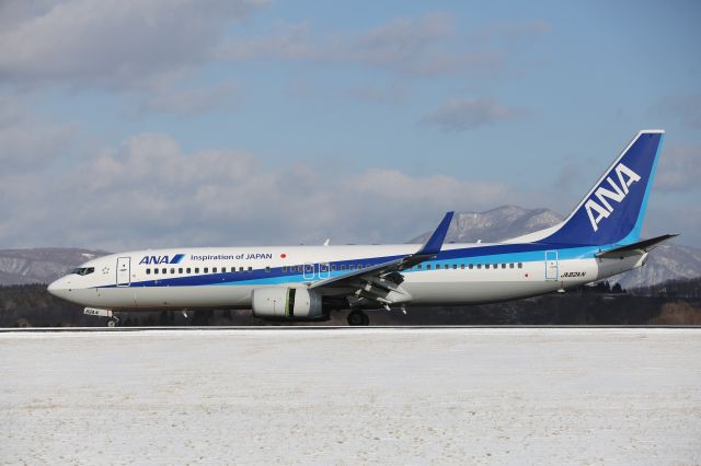 Boeing 737-800 (JA82AN) - 31 December 2016:ITM-HKD.