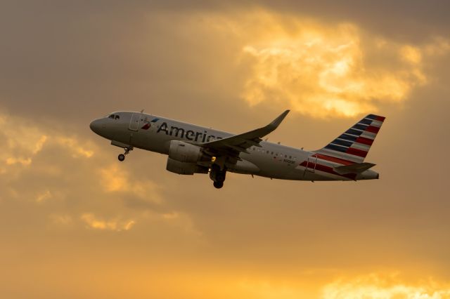 Airbus A319 (N9019F)