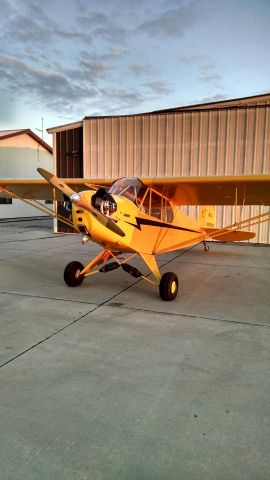 Piper NE Cub (N30931)